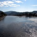 IMG_3596