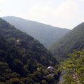 IMG_0646