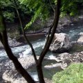 IMG_0929