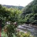 IMG_0930