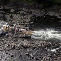 IMG_0940