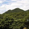 IMG_0794