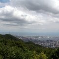 IMG_0795