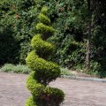 IMG_0800