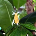 IMG_0802