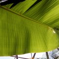 IMG_0804