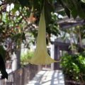 IMG_0813