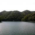 IMG_0838