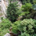IMG_0841