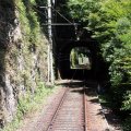 IMG_0954