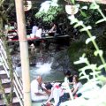 IMG_0985