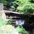 IMG_0991