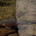 IMG_0321