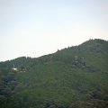 IMG_0352
