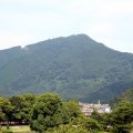 IMG_0353