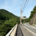 IMG_0362