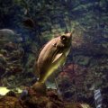 IMG_0080