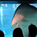 IMG_0082
