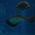 IMG_0111