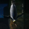 IMG_0125