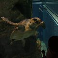 IMG_0134