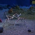 IMG_0138