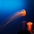 IMG_0149