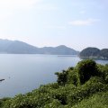 IMG_0536