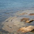 IMG_0542