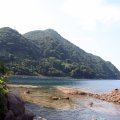 IMG_0549