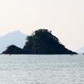 IMG_0558
