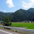 IMG_5028