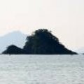 IMG_0558.JPG.thumb.