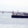 IMG_0239
