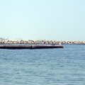 IMG_0246