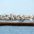 IMG_0247