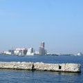 IMG_0389