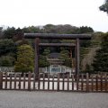 IMG_3598