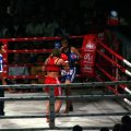 IMG_8066