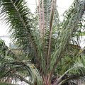 IMG_8094