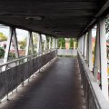 IMG_8095