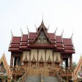 IMG_8101