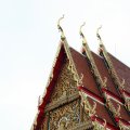 IMG_8123