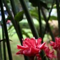 IMG_8168