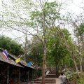 IMG_8178