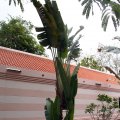 IMG_8180