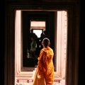 IMG_8217