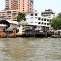 IMG_8342