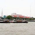 IMG_8350