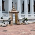 IMG_8383